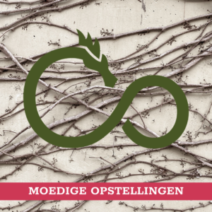 Opstellingen - De Moed om Jezelf te Omarmen