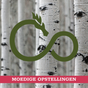 Moedige Opstellingen - 17 Nov