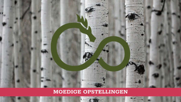 Moedige Opstellingen - 17 Nov