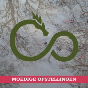 Opstellingenmiddag in Zeist - 26 Jan