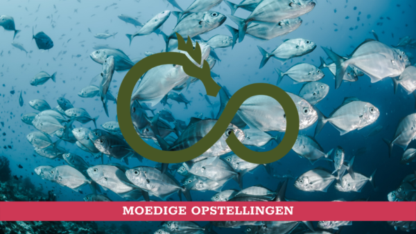 Opstellingenmiddag in Zeist - 23 Mrt