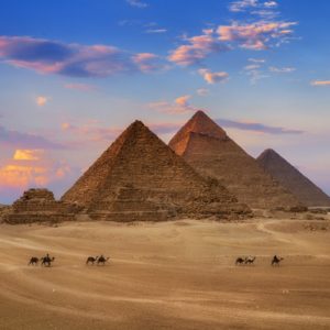 EGYPT Information Zoom Call - Wed 3 July