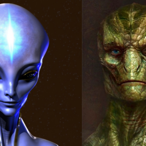 Friendship between Arcturians & Draconians? Making PEACE - 9 Nov