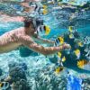 DOLFIJNENREIS - Sataya Reef - Egypte | 26 Sep - 3 Oct 2026 - Afbeelding 9
