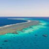 DOLFIJNENREIS - Sataya Reef - Egypte | 26 Sep - 3 Oct 2026 - Afbeelding 11